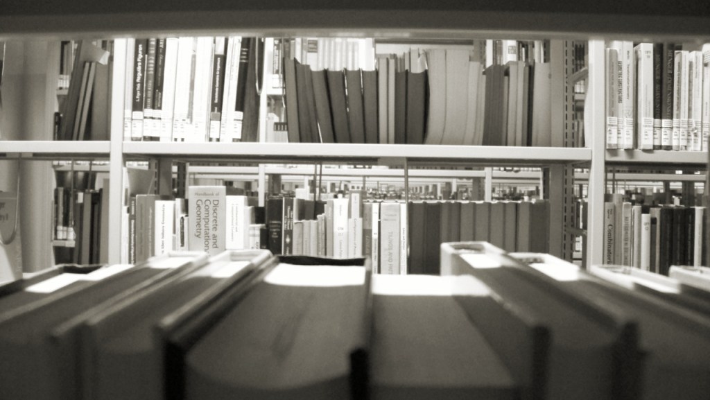 Blick durch ein Bücherregal auf ein weiteres Bücherregal.